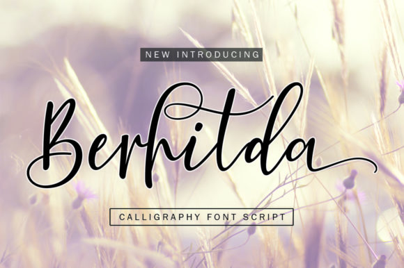 Berhilda Font Review: Elevating Small Business Branding