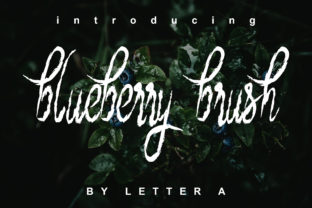 Blueberry Brush Font for Professional Small Business Branding