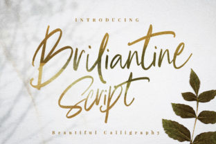 Briliantine Script: A Chilled Font for Polished Branding