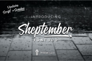 Elevate Campaigns with Sheptember: A Classy Script Font
