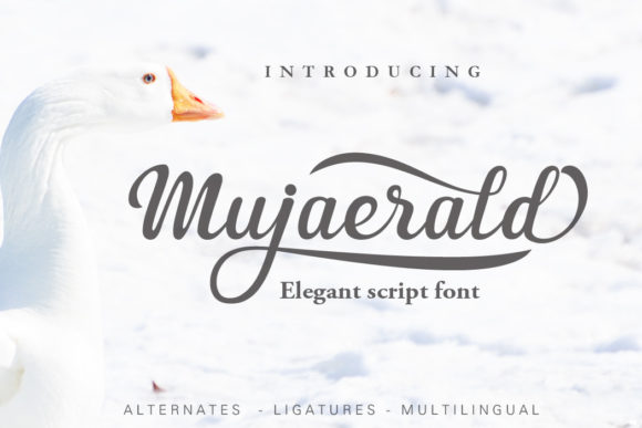 Mujaerald: The Elegant Script Font for Handmade Brands