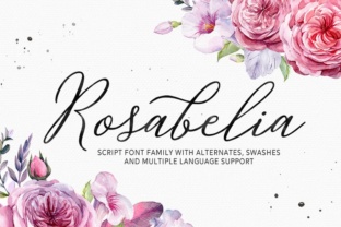 Rosabelia: A Modern Script Font for Editorial Design