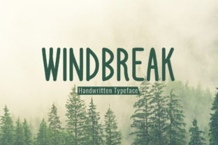 Windbreak Font Review: A Bold Script for Modern Design